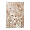 Dried Grass Wall Art Print Nordic Posters Highland Elk Canvas Painting Landscape Dandelion DecorationPictures for Home Room Art