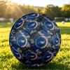 Brighton & Hove Albion FootballPrinted Size 5 Soccer Blbion Football, Anti Slip Adult Match Football Souvenir for Football Fans