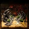 Hideout Caves Simulation Landscaping Stone Rockery Ornaments Hiding Cave Shelter For Aquarium Fish Tank Decoration