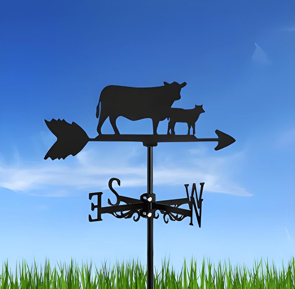 Decorative Iron Weather Vane - Outdoor Metal Roof Ornament