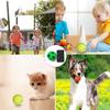 4 Piece Sports Ball Wristband Set Basketball, Baseball Football On Elastic String - Perfect For Boys Outdoor Play Pet Dog Toys