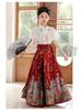 2025 Spring & Autumn Girls' Hanfu Skirt Set: Chinese Tang Style