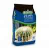 Cactus & Succulent Potting Soil