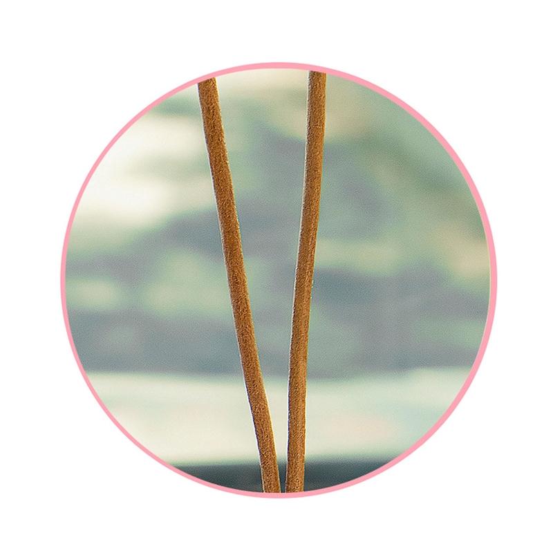 Ornamenti Appesi Maialino Sul Retrovisore dell'Auto Ciondolo per Auto Regali Divertenti