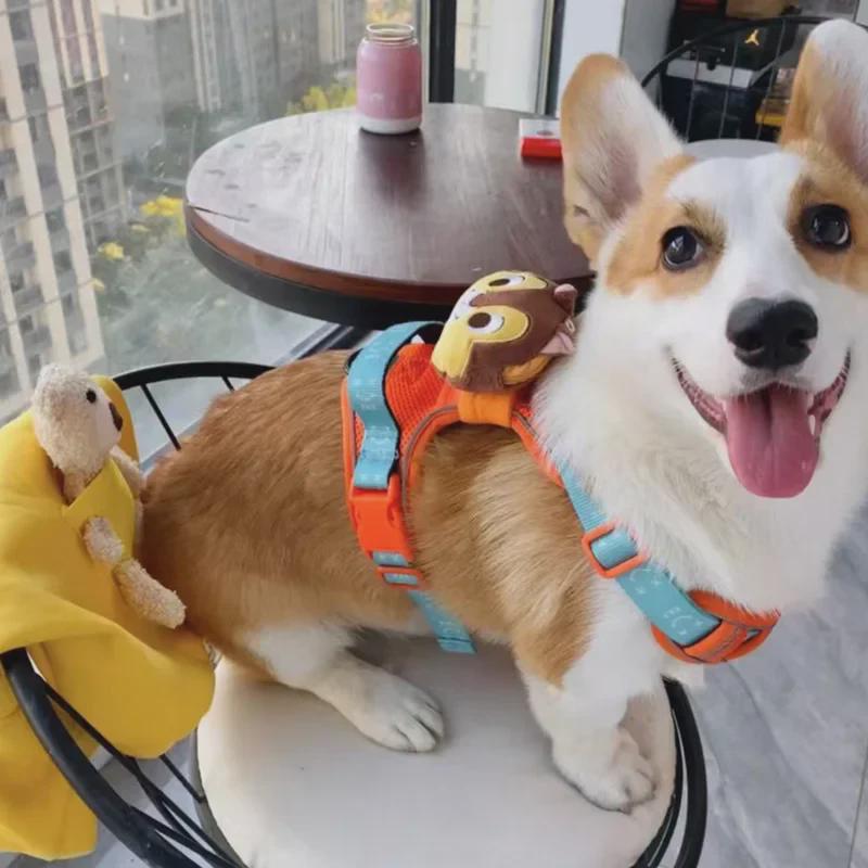 Retractable Dog Vest and Collar with Harness