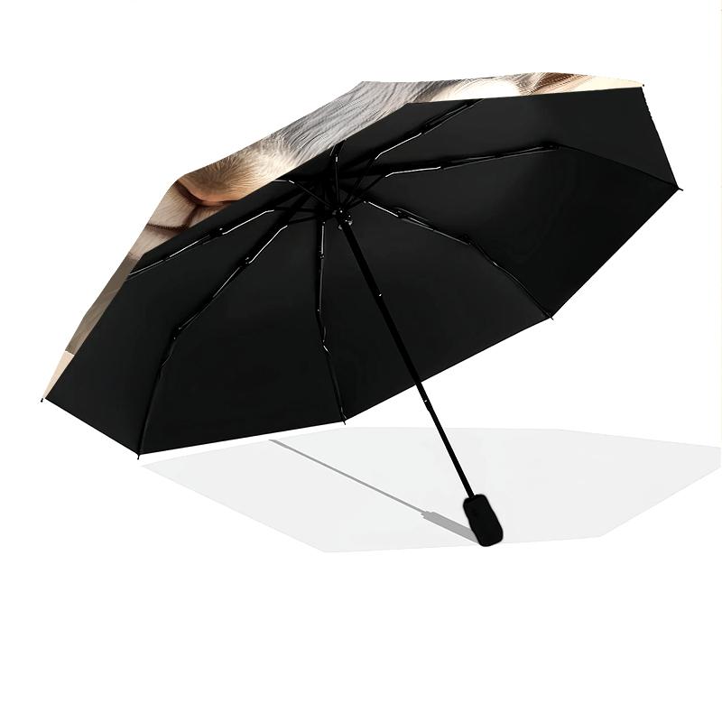Cute Squirrel pattern, automatic folding umbrella, portable and foldable design, 8 ribs, a Christmas or birthday gift.