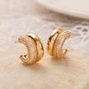 Stainless steel temperament, double ring C-shaped earrings, female design, niche, inlaid zircon earrings, color preservation