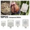 10pcs 5/8CM Equipo de Enraizamiento de Plantas Bola de Propagación de Alta Presión Estuche de Cría de Injertos Bola de Vivero para Plantación y Crecimiento de Raíces
