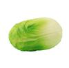 New Release Vegetable Cabbage Squeeze Toy For Kids Soft And Realistic Stress Relief Toy