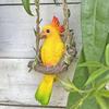 Resin Parrot Statue Ornament Chinese Style Bird Sculpture  Garden Lawn Patio Porch