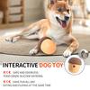 Pet Food Dispensing Toy Bite Resistant Interactive Slow Feeding Silicone Pet Treat Puzzle Ball for