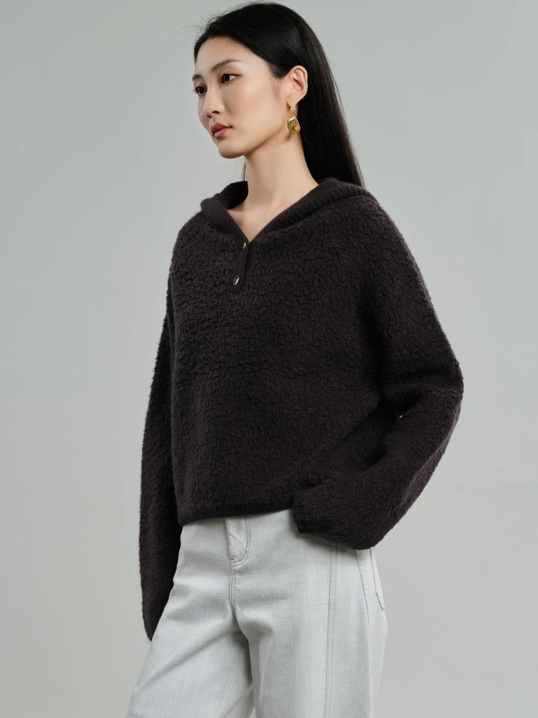 Women's Thick Pure Wool Hooded Sweater - Long-Sleeve, Loose, Warm, and Versatile Pullover