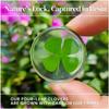 2Pcs Real Four Leaf Clover - Clover Stone Pocket Lucky Charm, Irish Blessing Good Luck Gift for Friends, Family (Transparent)
