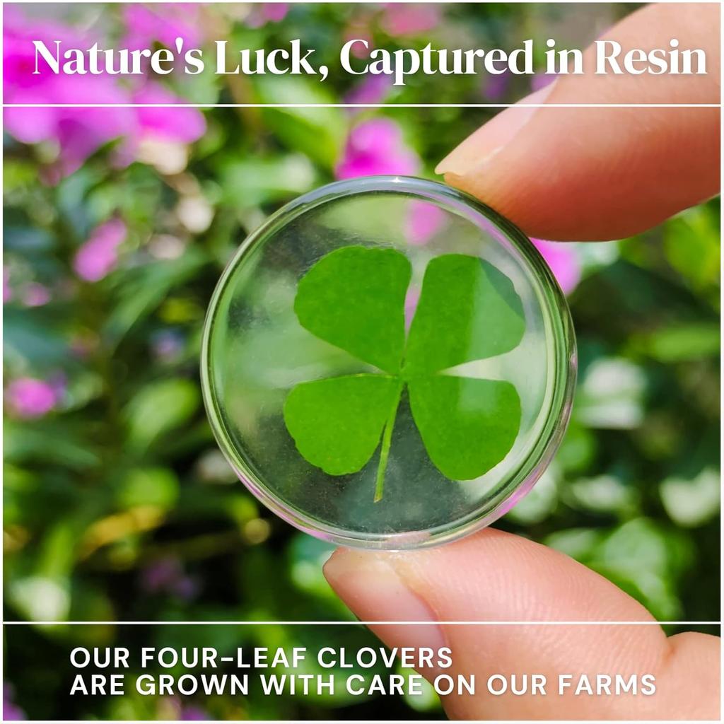 2Pcs Real Four Leaf Clover - Clover Stone Pocket Lucky Charm, Irish Blessing Good Luck Gift for Friends, Family (Transparent)