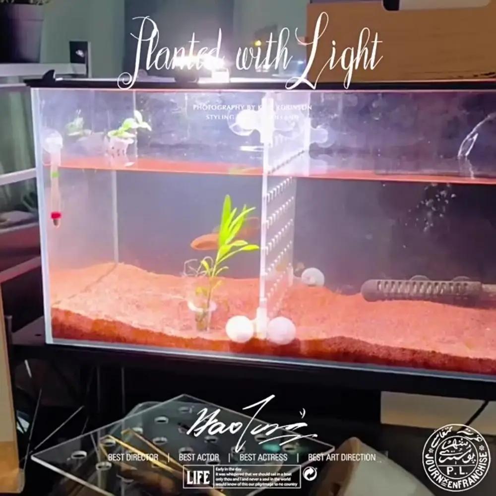 10Pcs Transparent Plant Hydroponic Pot Plastic with Suction Base Water Grass Growth Pots Aquarium Planting Basket