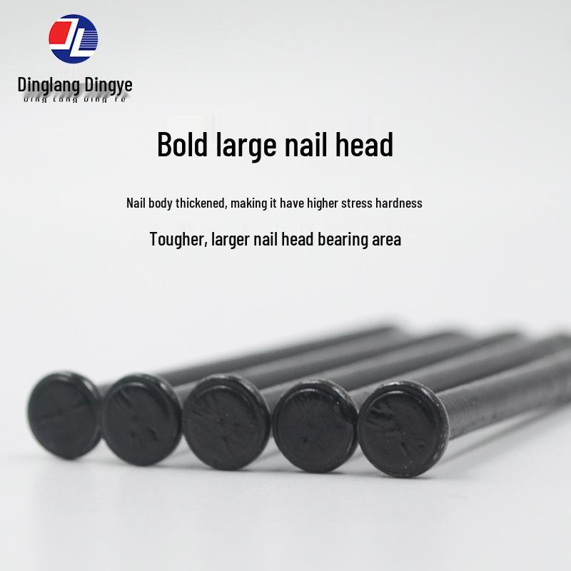 High-Strength Black Steel Nails for Concrete, Picture Hanging & Advertising