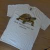 Slow Motion Over Geen Beweging Schildpad T-shirt, Grappig Grafisch Shirt, Unisex T-shirt, Cadeau voor Zee Dieren Liefhebbers, Relaxed Fit T-shirt