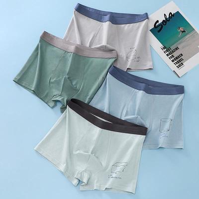 Chiloței – Boxeri