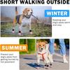 SCENEREAL Dog Socks to Prevent Licking Paws for Hot/Cold Pavement, Dog Boots & Paw Protectors for Small Medium Large Dogs, Senior Dog Grippy Socks