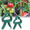 Reusable Garden Plant Clips Green Plastics Plant Fixing Clips for Climbing Plants Tomato Vine Support Tools Home Garden Supplies