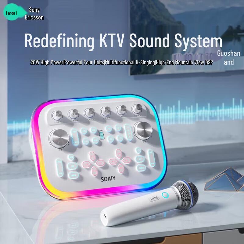 Soaiy SG20 KTV Sound Card Speaker System