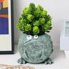 Playful Resin Frog Expression Flowerpot Cute Decorative Frog Succulent Flower Pot Funny Plant Container Garden