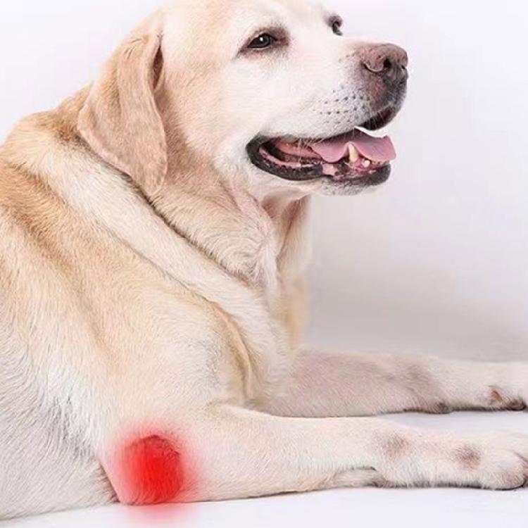 Pet Leg Hock Joint Wrap Support Aids In Healing Comfortable Compression Sleeve