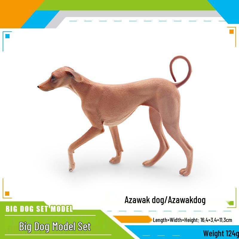 Azawakh African Hunting Dog Model: Kids  Cognitive Development & Family Companion Ornament