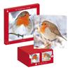 IG Design Square Robin Christmas Greetings Card (Pack of 10)