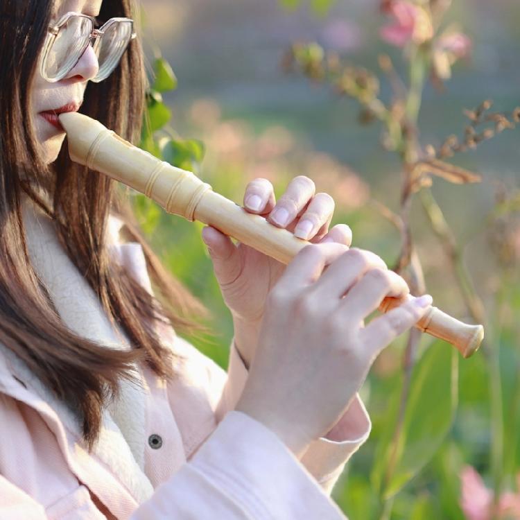 German Style C Key 8 Hole Wooden Descant Recorder Adults Beginners with Handbag