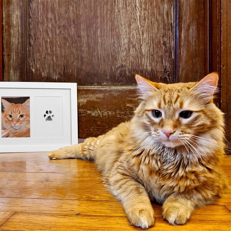 Wash-Free Pet Paw Print Ink Pad - DIY Cat & Dog Souvenirs Album