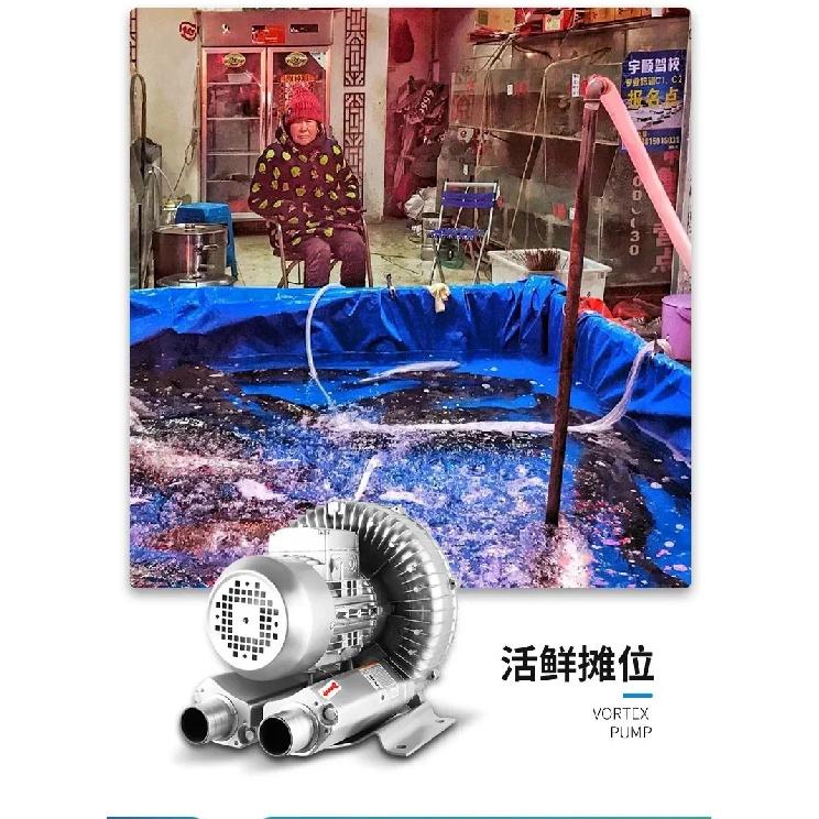 220V 200W Φυσητήρας Τυφώνα Μικρή Βιομηχανική Αντλία Αέρα Υψηλής Πίεσης Φυγοκεντρική Αντλία Κενού Ανεμιστήρας Αναρρόφησης Τυφώνα Αεριστήρας Λίμνης Ψαριών
