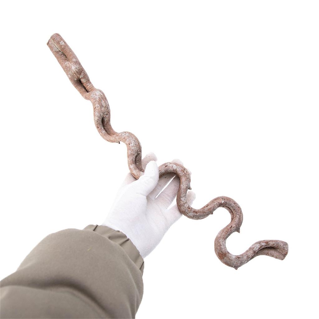 Terrarium Natural Rattan for Lizards Climbing and Resting Reptile Corner Branch Fishtanks Accessories Habitats Decors