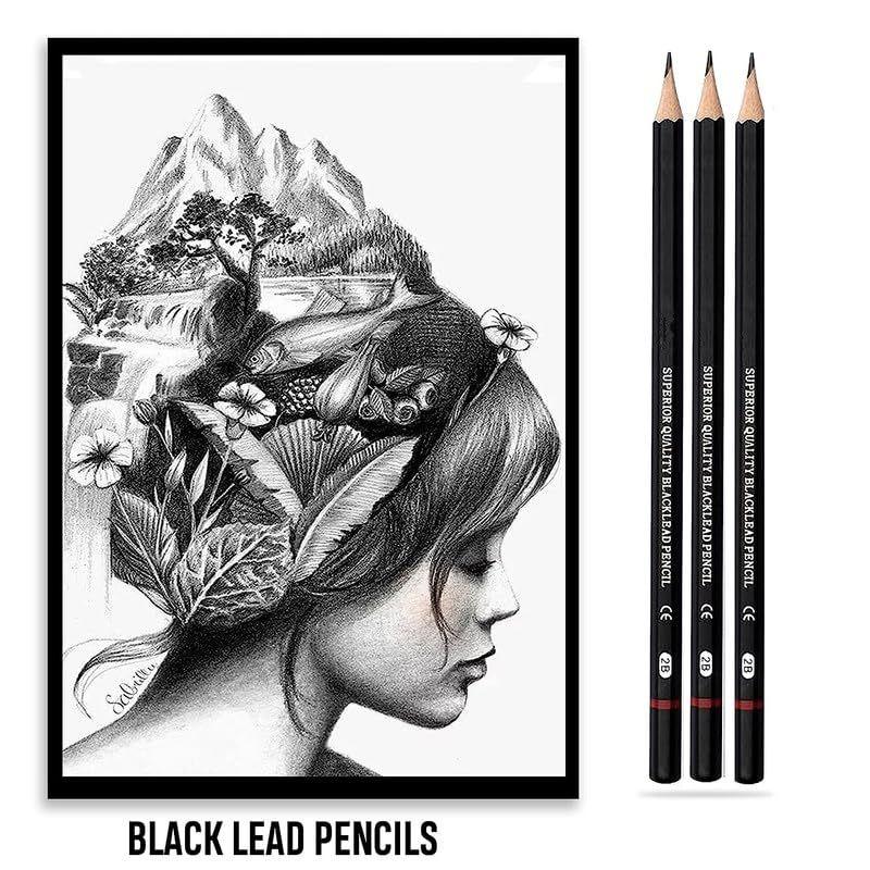 Set profesional de schițe pentru artiști, kit de instrumente de desen pentru începători cu ascuțitoare, gumă de șters, creioane de cărbune și husă cu fermoar ușor de transportat