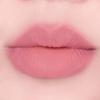 AMUSE Lip Smudger