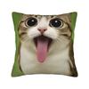 Funny Meowl Cat Owl Pillow Cover Retro Trendy Pillow Case For Living Room Bed Chair Comfy Pillowcases Birthday Gift