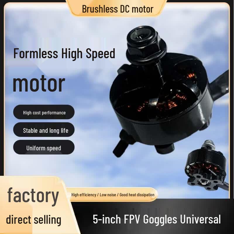 

Shizheng 2207 1960KV FPV Drone Brushless Motor
