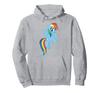 My Little Pony: Friendship Is Magic Big Rainbow Dash Hoodie
