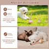 Smart Interactive Pet Ball 3 Mode Automatic Active Dog Rolling Ball with Chew Rope Rechargeable Moving Cat Toy Ball Pet Supplies