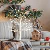 White Birch Tree with LED Lights, Lighted Birch Tree for Tabletop, USB/Battery Operated 24 LED Warm White Tree, 2FT Mini Christmas Tree Decor for