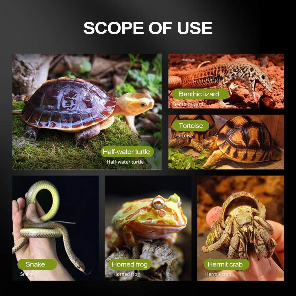Anti-Slip Tortoise Food & Water Dish Shallow Reptile Bathing Pool with Ramp, Safe PVC Easy to Clean for Turtle Gecko Lizard Frog
