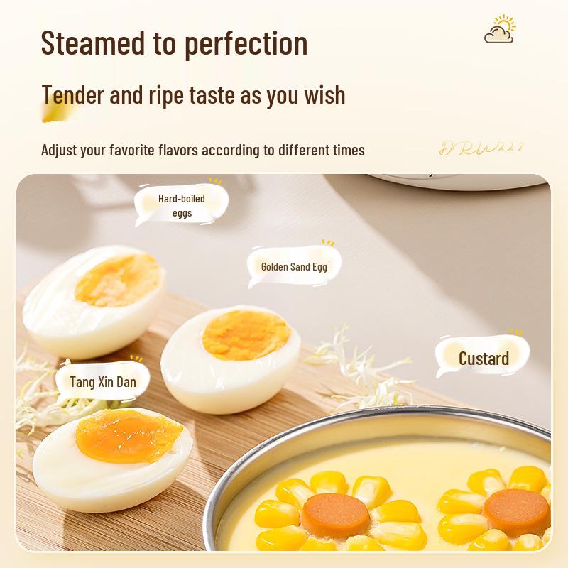 Compact Stainless Steel Automatic Egg Boiler with Auto-Off