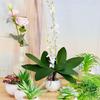 Chuangdi 6 Pieces Faux Phalaenopsis Orchids Leaves Artificial Orchids Leaves Green Leaf Plants Green Faux Leaf Latex Cymbidium Stems for Flowers