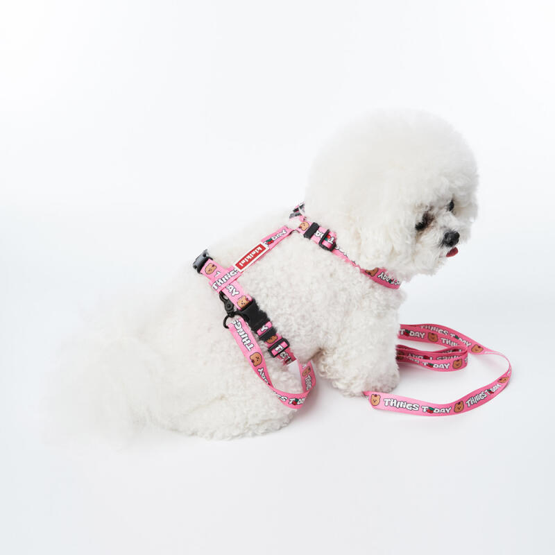 [Earp EarpXKINIKINI]CHERRY COVY H-HARNESS-PINK (harness)