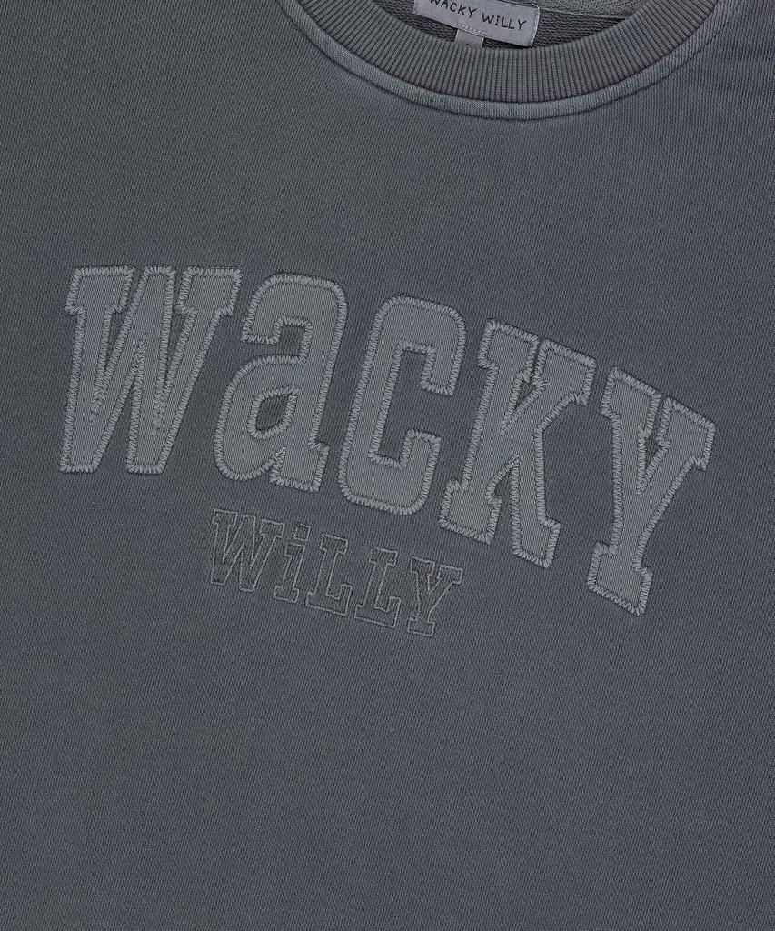 WACKY WILLY Women'S Semi-Overfit Pigment Sweatshirt Gray