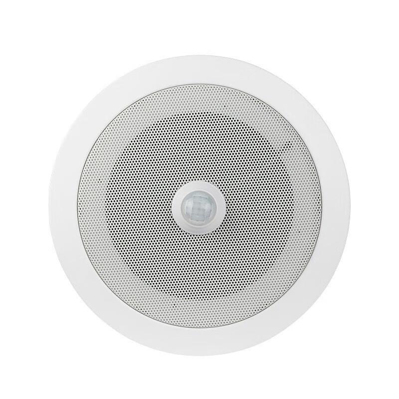 DAFIFY Motion Sensor Voice Prompt Speaker
