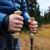 Gossamer Gear LT5 Carbon Trekking Poles Black Three-Piece (Pair)