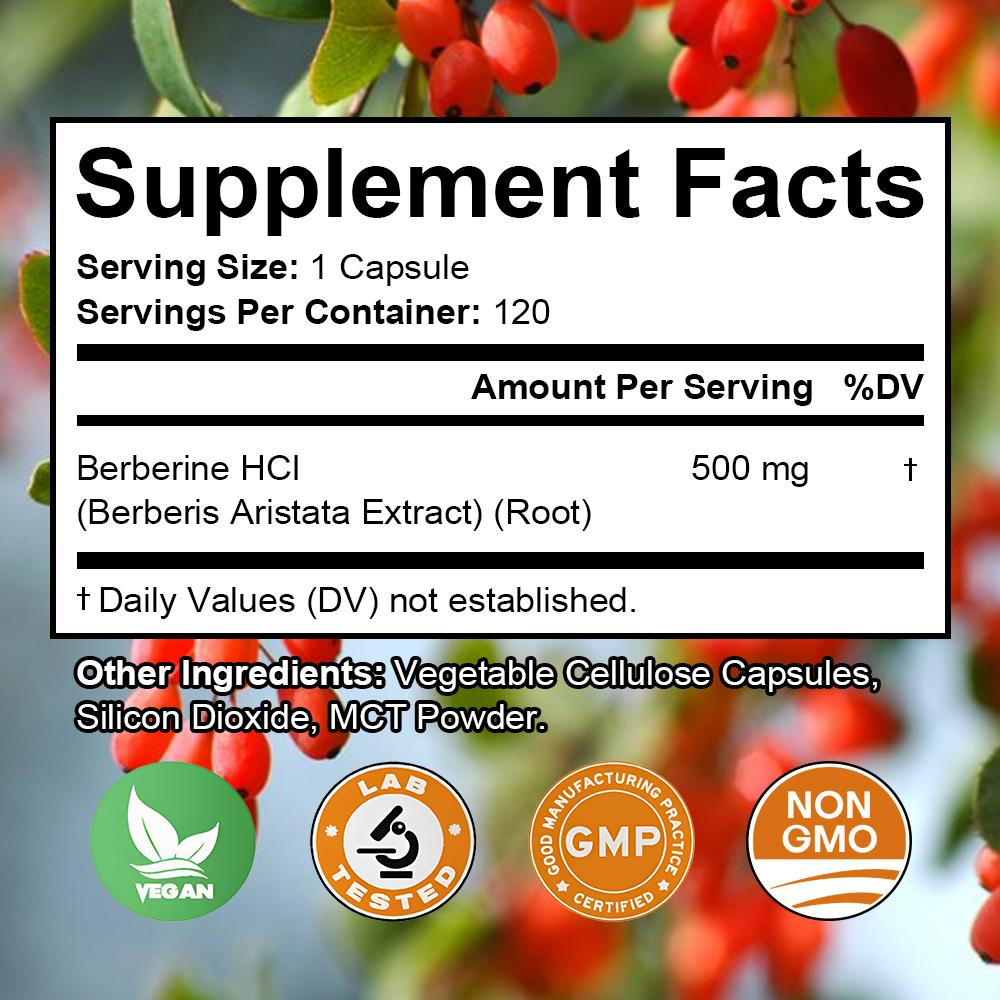 Berberin 500 mg Nahrungsergänzungsmittel 120 Kapseln