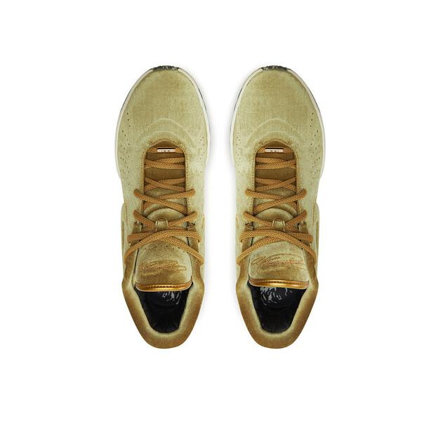 Мужские кроссовки Nike Lebron xxi qs fz7883 700 коричневые