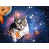 Puzzle - chats volant dans l'espace